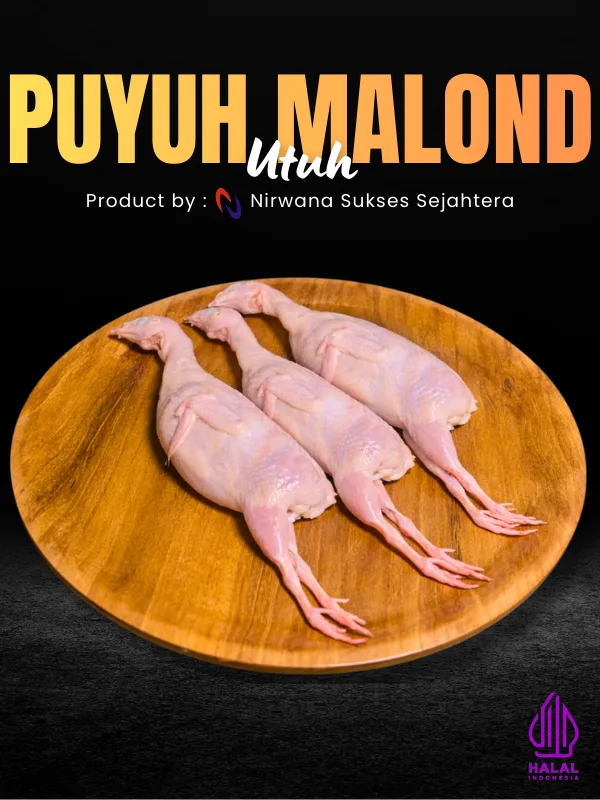 Puyuh Malond Utuh