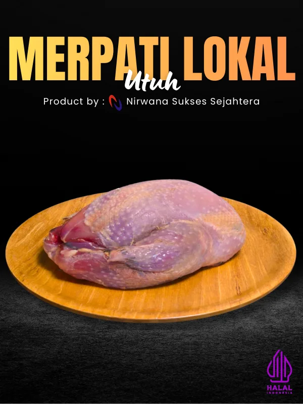 Merpati Lokal Utuh