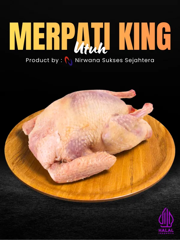 Merpati King Utuh