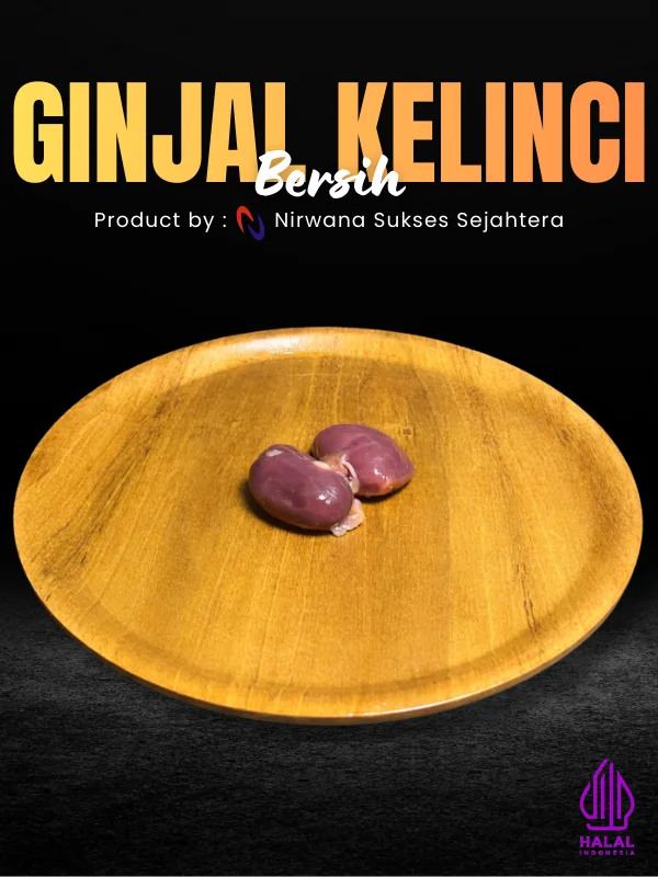 Ginjal Kelinci Bersih