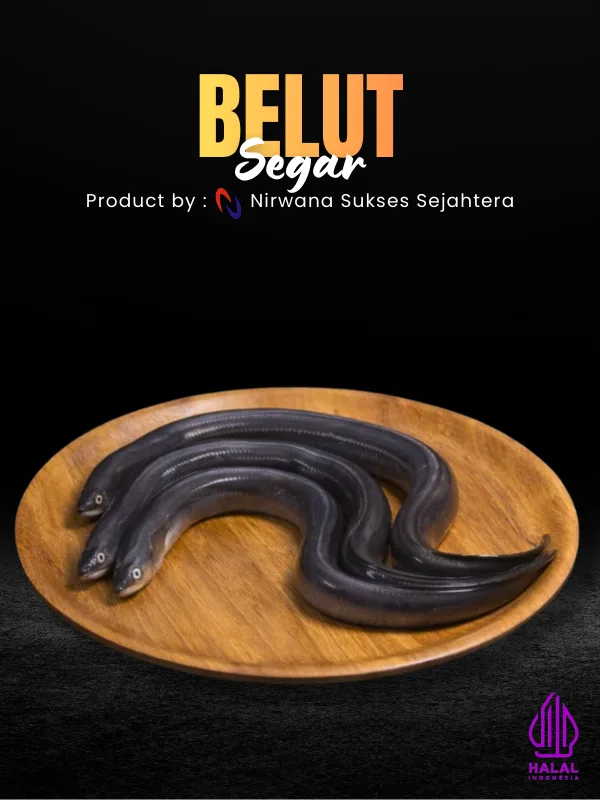 Belut Segar