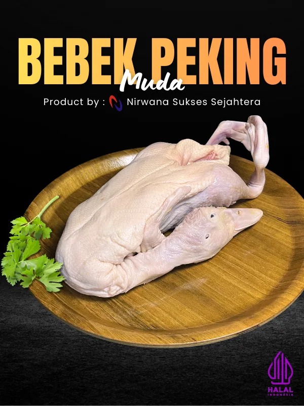 Bebek Peking Muda