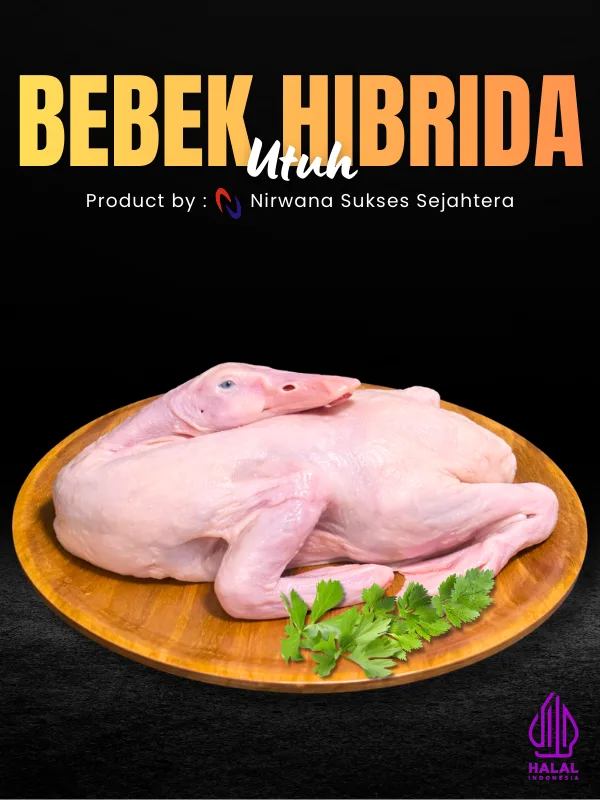 Bebek Hibrida Utuh