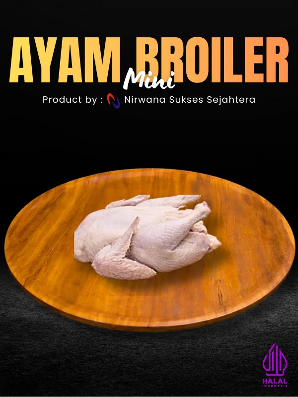 Ayam Broiler Mini