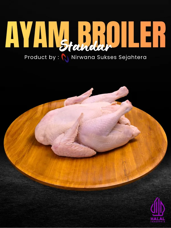 Ayam Broiler Standar