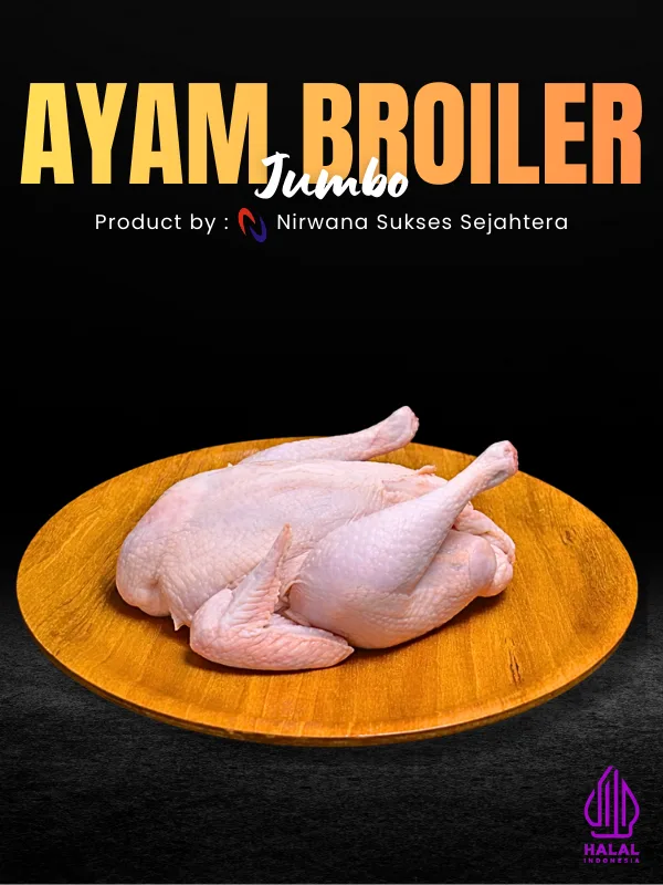 Ayam Broiler Jumbo