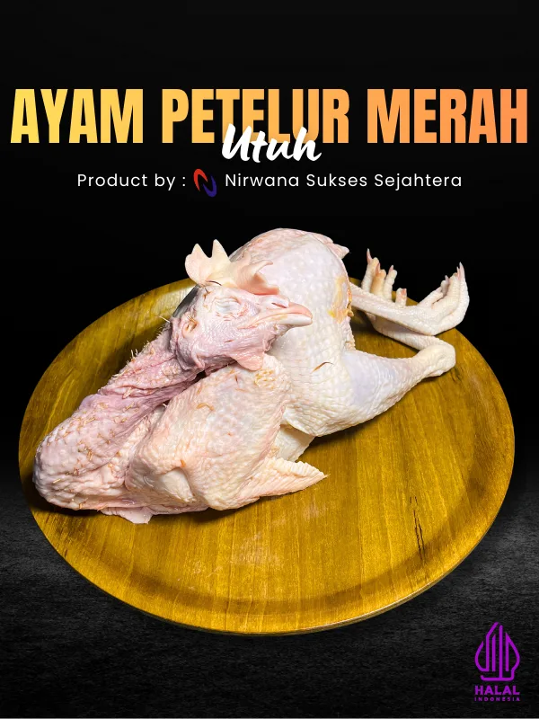 Ayam Petelur Merah Utuh